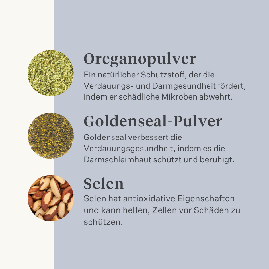 Veganes Hundesupplement für Magen, Verdauung, Blähungen, Probiotika, Präbiotika, Verdauungsenzyme | localization: DE
