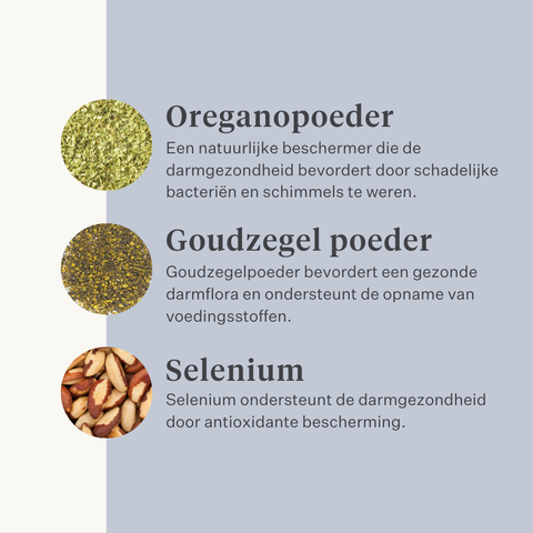 Veganistisch hondensupplement voor de maag, spijsvertering, winderigheid, probiotica, prebiotica, spijsverteringsenzymen | localization: NL