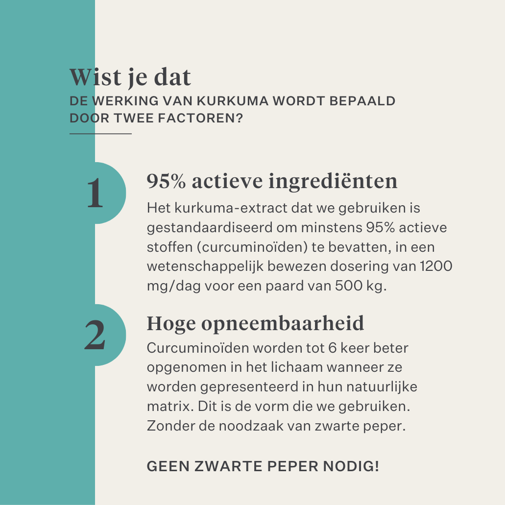 spieren spierverzuring supplement paard pony immuniteit darm huid | localization: NL