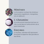 Cheval, poney, colique intestinale, gaz, ulcères gastriques, probiotiques, prébiotiques, graines de lin, diarrhée, selles aqueuses, selles molles | localization: FR