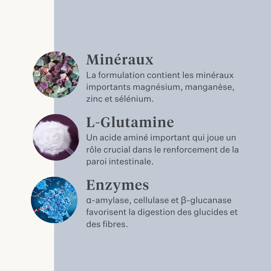 Cheval, poney, colique intestinale, gaz, ulcères gastriques, probiotiques, prébiotiques, graines de lin, diarrhée, selles aqueuses, selles molles | localization: FR