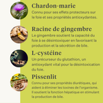 Detox&Drain détoxication du foie soutien hépatique pour chevaux et poneys santé du foie détoxification | localization: FR