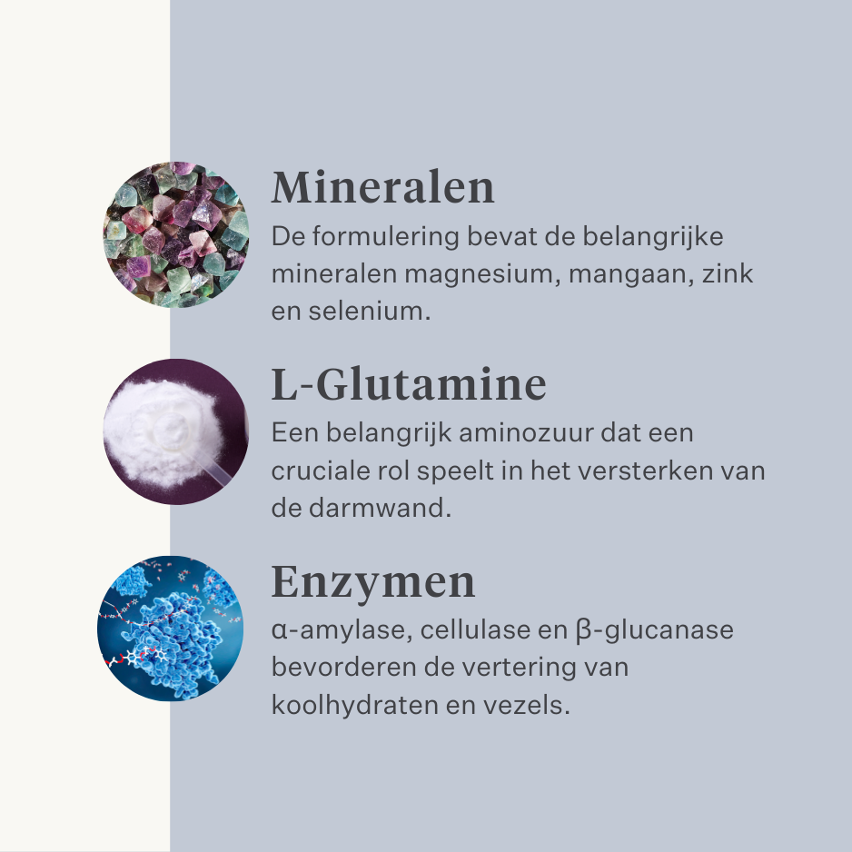 Paard, pony, koliek, gas, maagzweren, probiotica, prebiotica, lijnzaad, diarree, waterige ontlasting, mestwater | localization: NL
