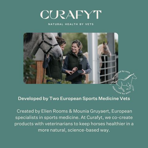 Equimove Balance Pads balance training core stability rehabilitation horse training proprioception | localization: EN