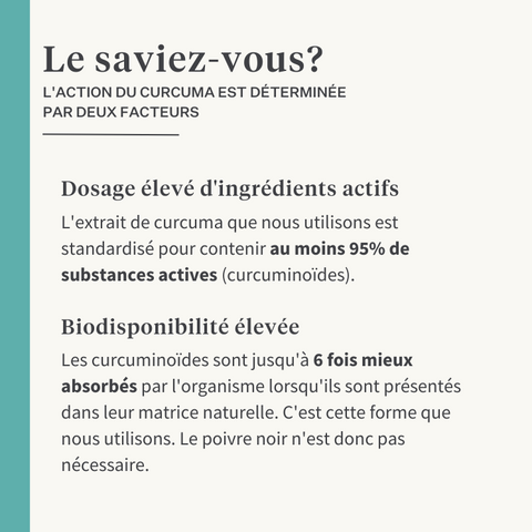 Complément naturel de curcuma curcuma longa pour les articulations des chiens | localization: FR