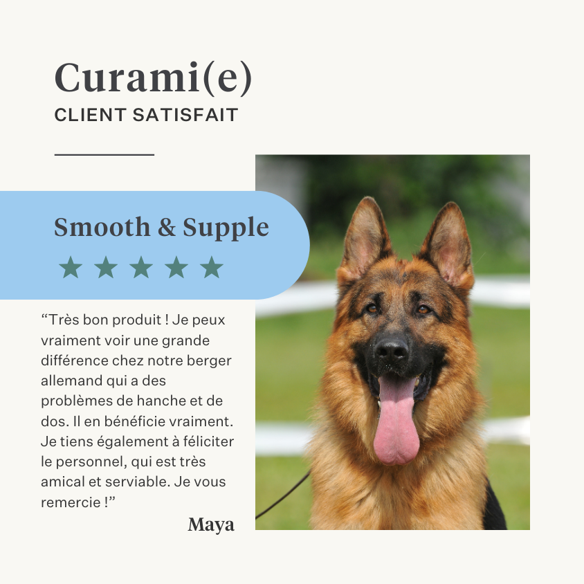Complément naturel chien chiot articulations ligaments tendons muscles | localization: FR
