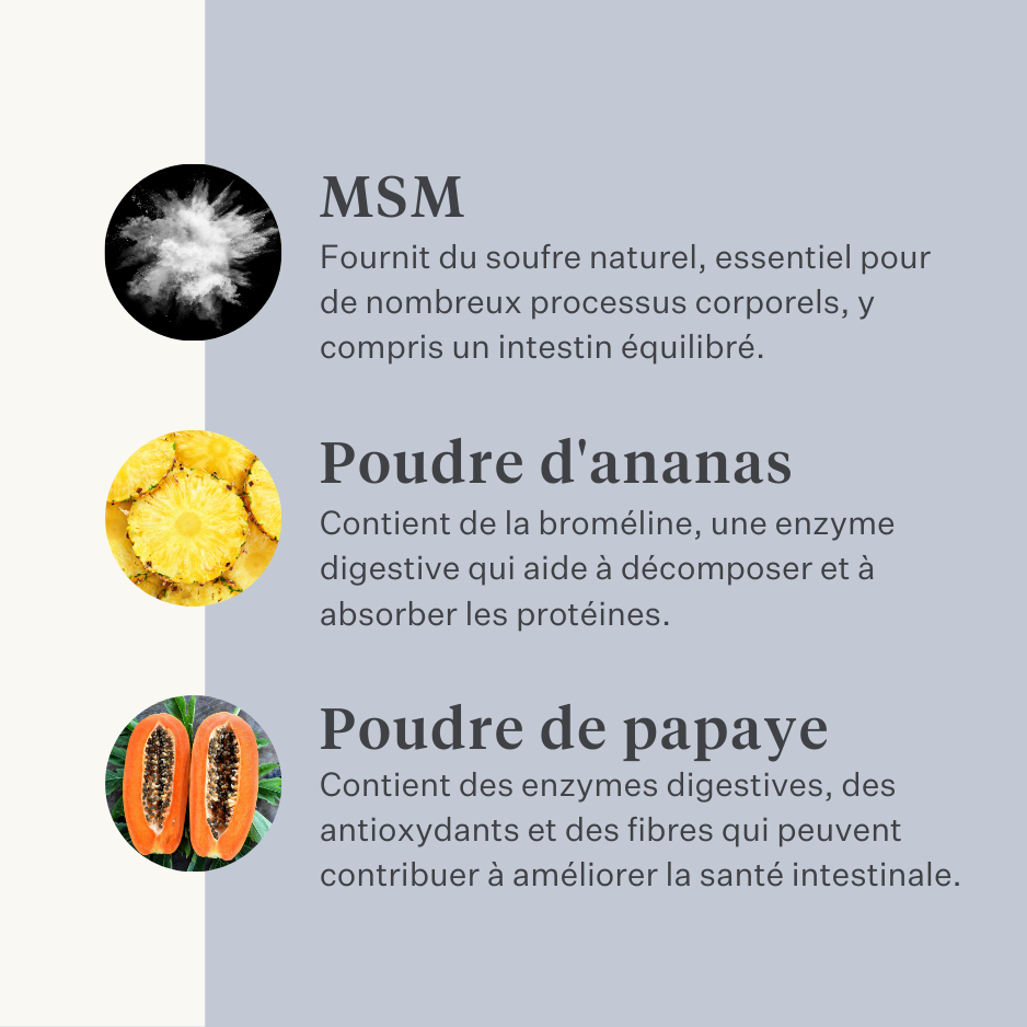 Supplément végan pour chien pour l'estomac, la digestion, les flatulences, probiotiques, prébiotiques, enzymes digestives  | localization: FR