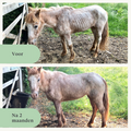 supplement koudgeperste olie paarden uithoudingsvermogen gewicht spieren vitamine E lijnzaadolie DHA EPA omega-3 | localization: NL