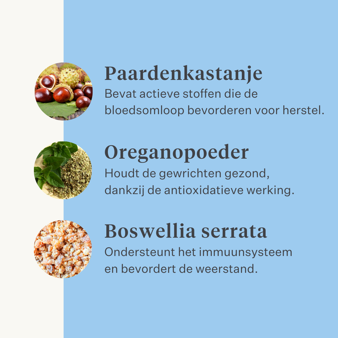 Natuurlijk supplement paard pony gewrichten ligamenten pezen spieren | localization: NL