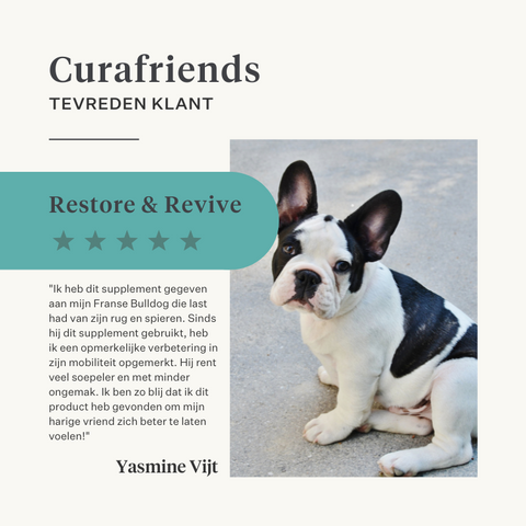 Natuurlijk kurkuma curcuma longa supplement voor honden gewrichten | localization: NL