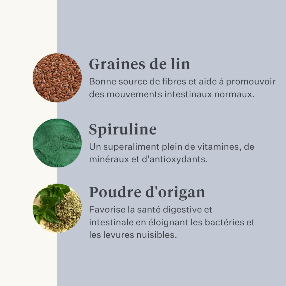 Cheval, poney, colique intestinale, gaz, ulcères gastriques, probiotiques, prébiotiques, graines de lin, diarrhée, selles aqueuses, selles molles | localization: FR