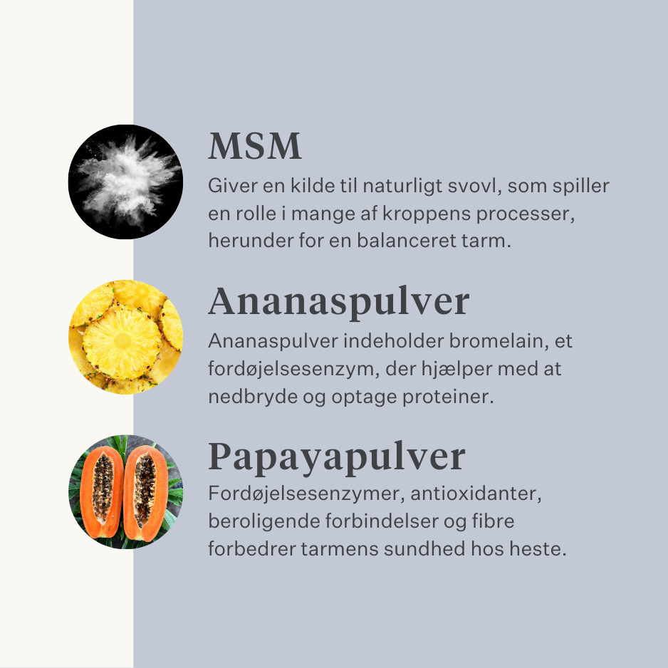 Vegansk hundetilskud til mave, fordøjelse, prutter, probiotika, præbiotika, fordøjelsesenzymer | localization: DA