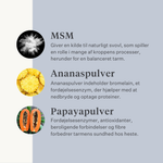 Vegansk hundetilskud til mave, fordøjelse, prutter, probiotika, præbiotika, fordøjelsesenzymer | localization: DA
