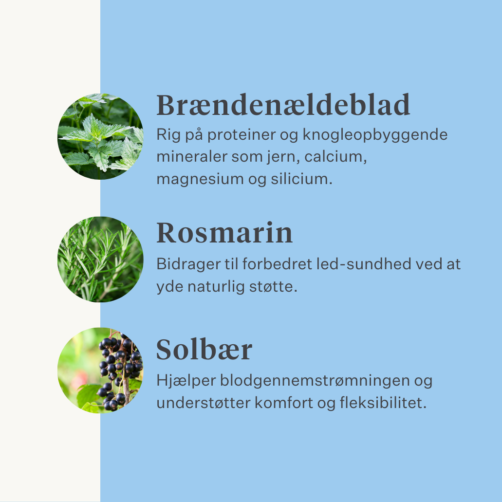 naturligt tilskud hest pony led ledbånd sener muskler | localization: DA