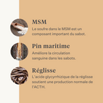 Steady&Stable Curafyt complément pour chevaux et poneys, fourbure, sensibilité des sabots, insuline, glucose, PPID, maladie de Cushing | localization: FR