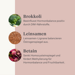 Stute Fohlen Pferd Pony Fruchtbarkeit Gebärmutter Rosse Stutenverhalten Zyklus rossig pferdeartige Hormonbalance| localization: DE