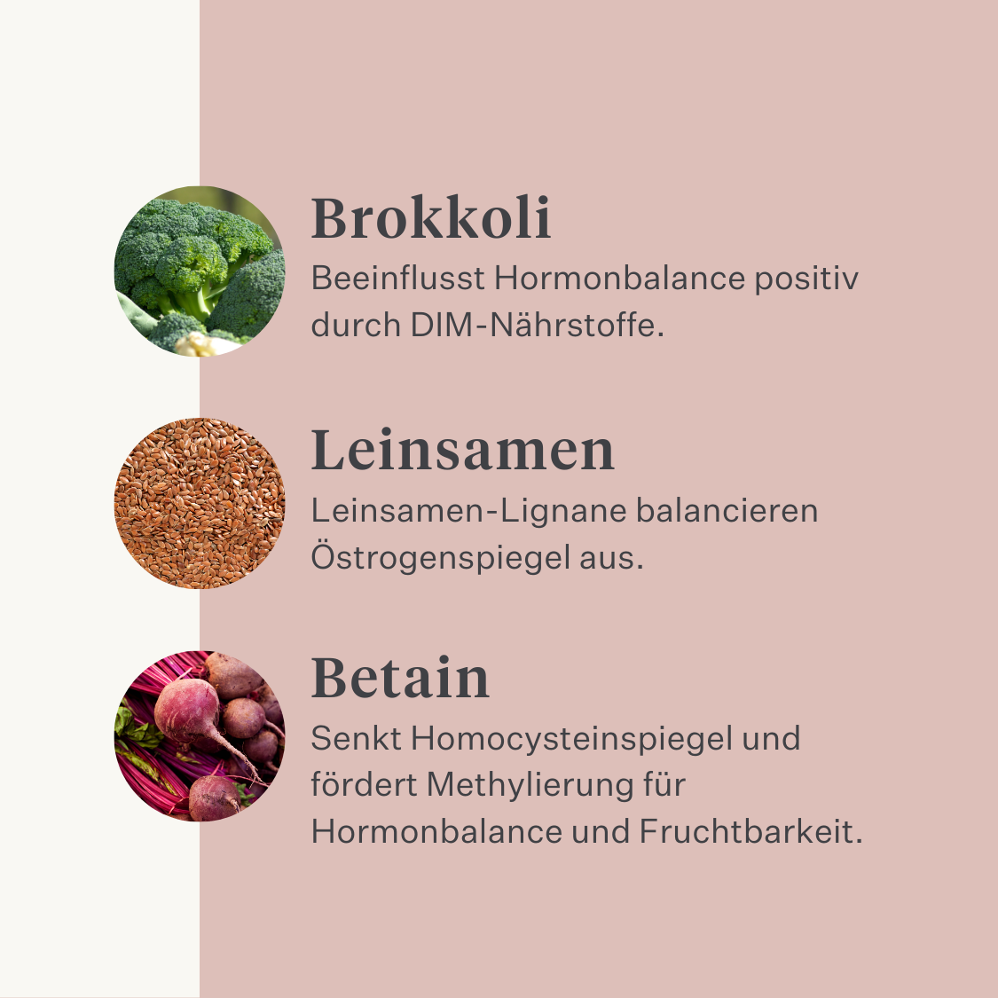 Stute Fohlen Pferd Pony Fruchtbarkeit Gebärmutter Rosse Stutenverhalten Zyklus rossig pferdeartige Hormonbalance| localization: DE