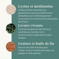 Este Balancer complément alimentaire pour chevaux, CMV développé par la vétérinaire équine Dr. Sara Torfs, complète les rations à base de fourrage avec vitamines, minéraux et graisses saines pour la brillance du poil, des sabots solides et une bonne santé digestive. | localization: FR