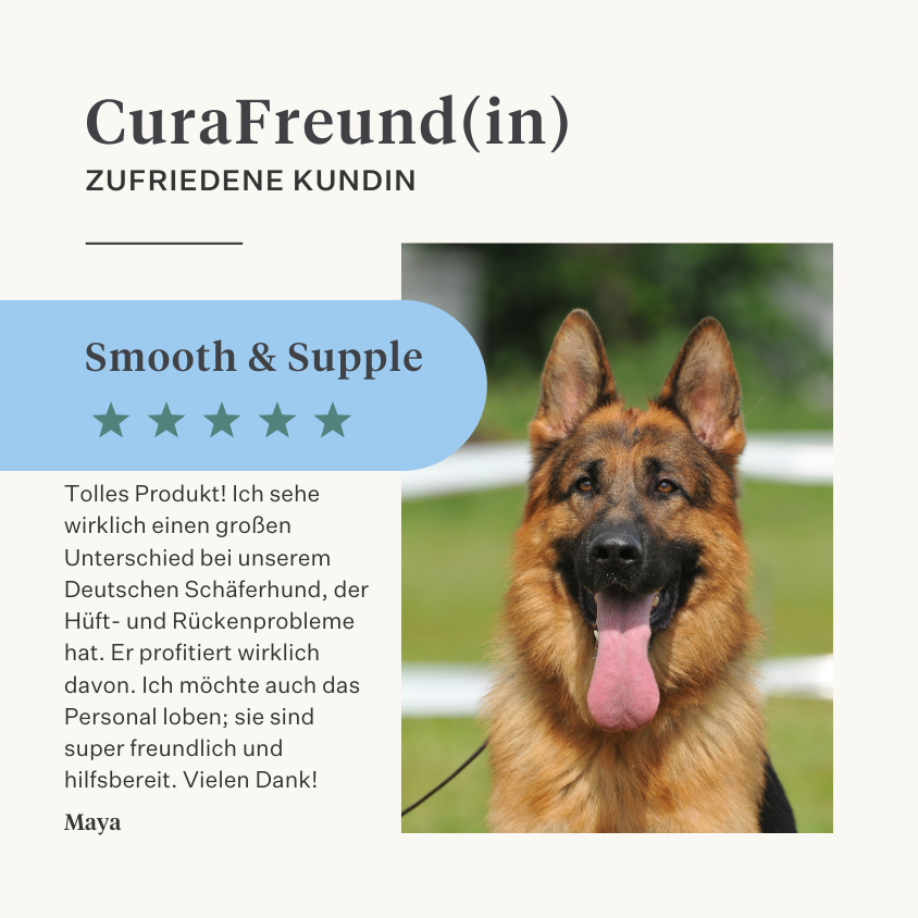 Natürliche Ergänzung Hund Welpe Gelenke Bänder Sehnen Muskeln | localization: DE