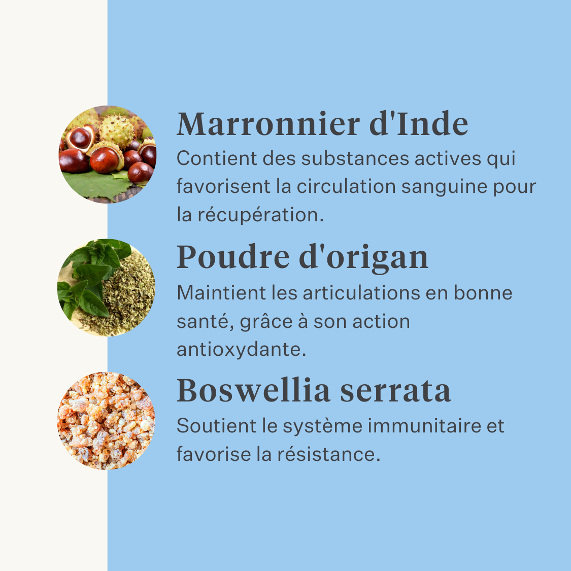Supplément naturel pour cheval et poney, articulations, ligaments, tendons, muscles | localization: FR