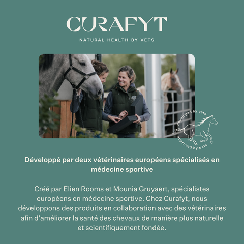 Equimove Balance Pads équilibre renforcement musculaire rééducation proprioception cheval entraînement | localization: FR