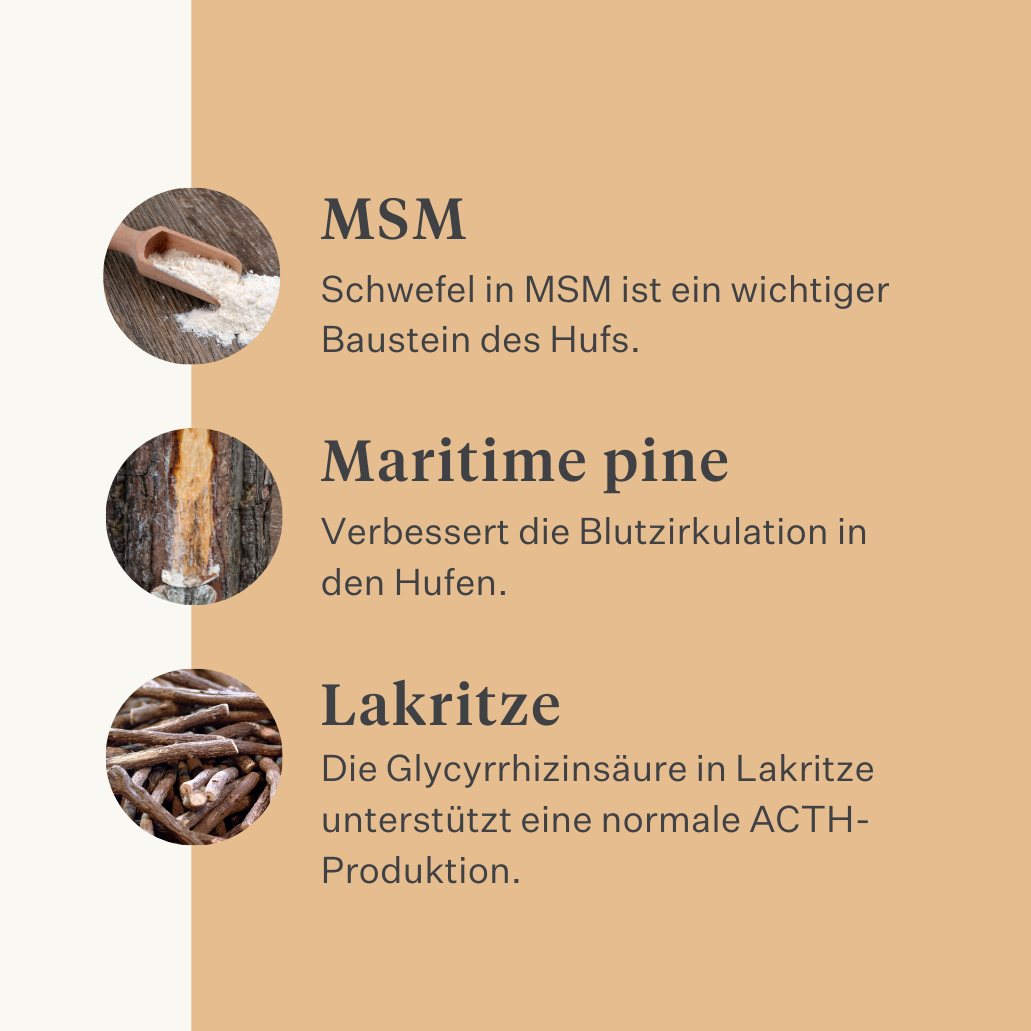 Steady&Stable Curafyt Ergänzung für Pferde und Ponys, Hufrehe, empfindliche Hufe, Insulin, Glukose, PPID, Cushing-Syndrom | localization: DE
