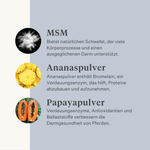 Veganes Hundesupplement für Magen, Verdauung, Blähungen, Probiotika, Präbiotika, Verdauungsenzyme | localization: DE