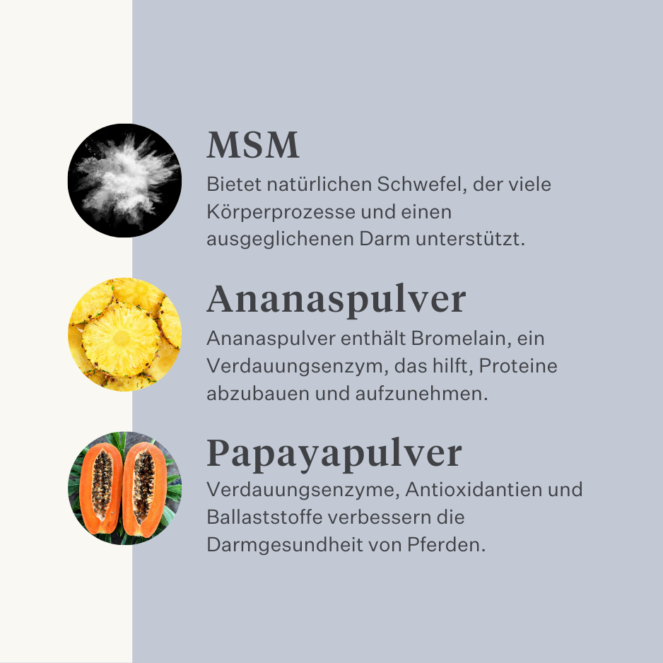 Veganes Hundesupplement für Magen, Verdauung, Blähungen, Probiotika, Präbiotika, Verdauungsenzyme | localization: DE