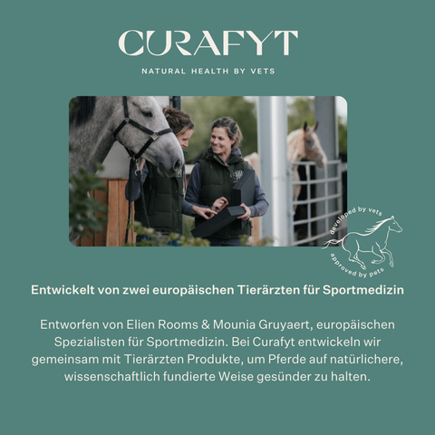 Equimove Balance Pads Gleichgewichtstraining Rumpfstabilität Rehabilitation Propriozeption Pferd Training | localization: DE