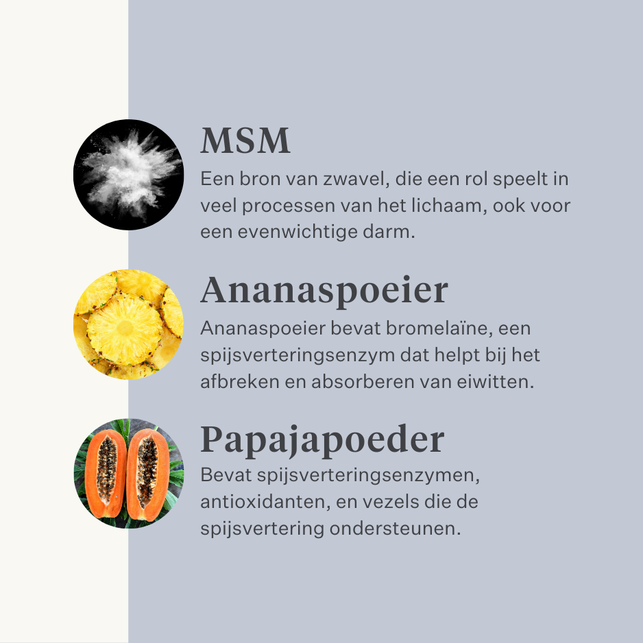 Veganistisch hondensupplement voor de maag, spijsvertering, winderigheid, probiotica, prebiotica, spijsverteringsenzymen  | localization: NL
