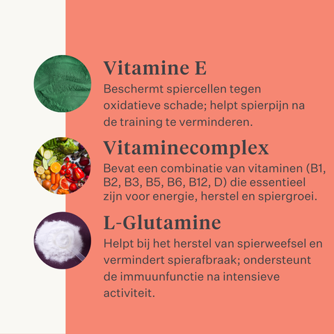 Body & Build supplement voor paarden, ondersteunt spieropbouw en herstel, rijk aan aminozuren en natuurlijke ingrediënten, verbetert kracht en prestaties. | localization: NL