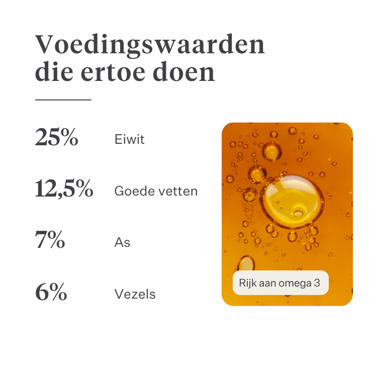 Imby Sensitive hondenvoer, volledig droogvoer op basis van insecten voor honden met voedselallergieën, ondersteunt de spijsvertering en huidgezondheid, graanvrij met prebiotica en natuurlijke ingrediënten, uitgebalanceerde formule ontwikkeld door dierenartsen, zeer smakelijke brok. | localization: NL