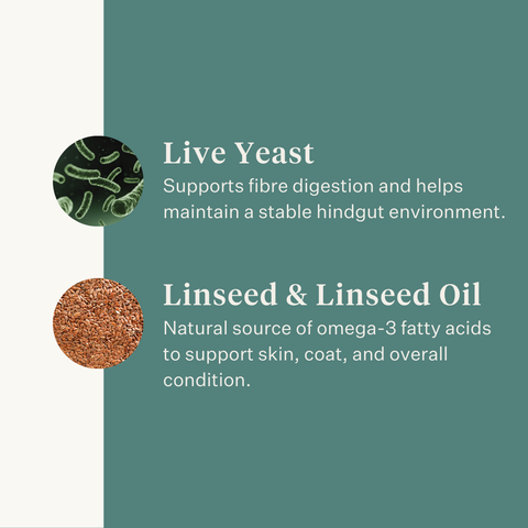 Este Balancer horse feed balancer supplement, developed by equine veterinarian Dr. Sara Torfs, completes forage-based diets with essential vitamins, minerals and healthy fats to support coat shine, strong hooves, muscle function and gut health. | localization: EN