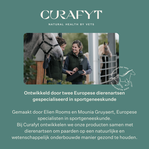 Equimove Balance Pads evenwichtstraining core stabiliteit revalidatie proprioceptie paard training | localization: NL