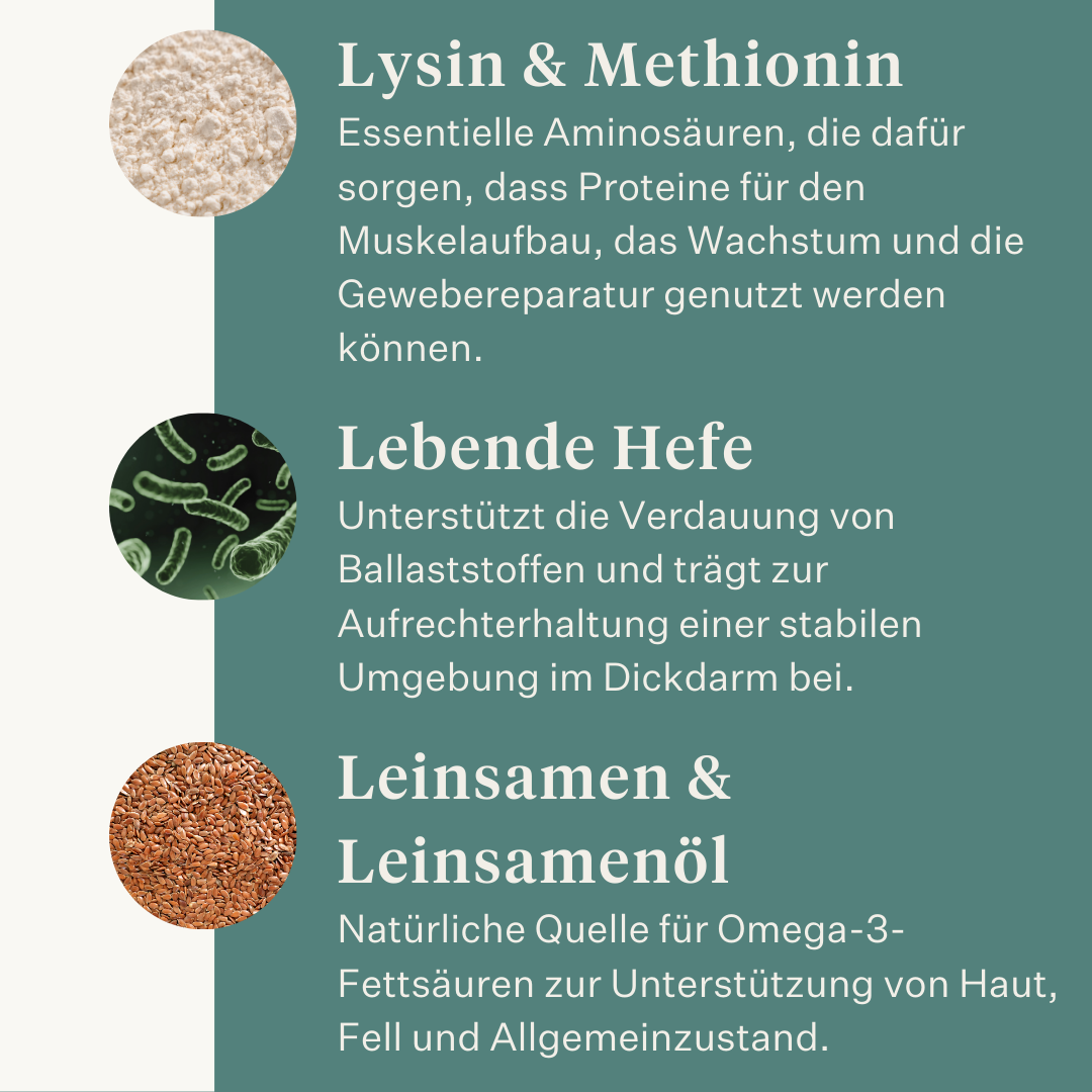 Este Balancer Mineralfutter für Pferde, entwickelt von der Pferdetierärztin Dr. Sara Torfs, ergänzt Raufutterrationen mit essenziellen Vitaminen, Mineralstoffen und gesunden Fetten für glänzendes Fell, starke Hufe und eine gesunde Verdauung. | localization: DE