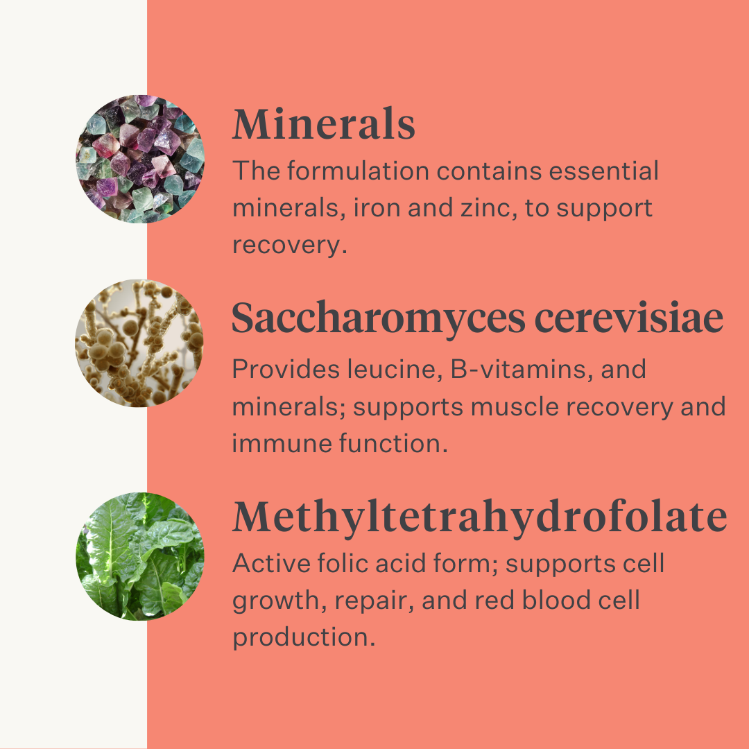 Body & Build supplement for horses, supports muscle mass building and recovery, rich in amino acids and natural ingredients, enhances strength and performance. | localization: EN