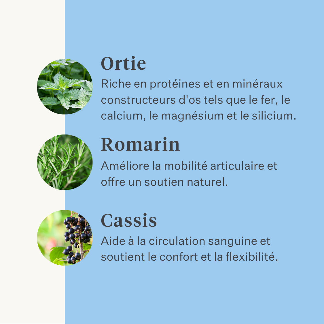 Supplément naturel pour cheval et poney, articulations, ligaments, tendons, muscles | localization: FR