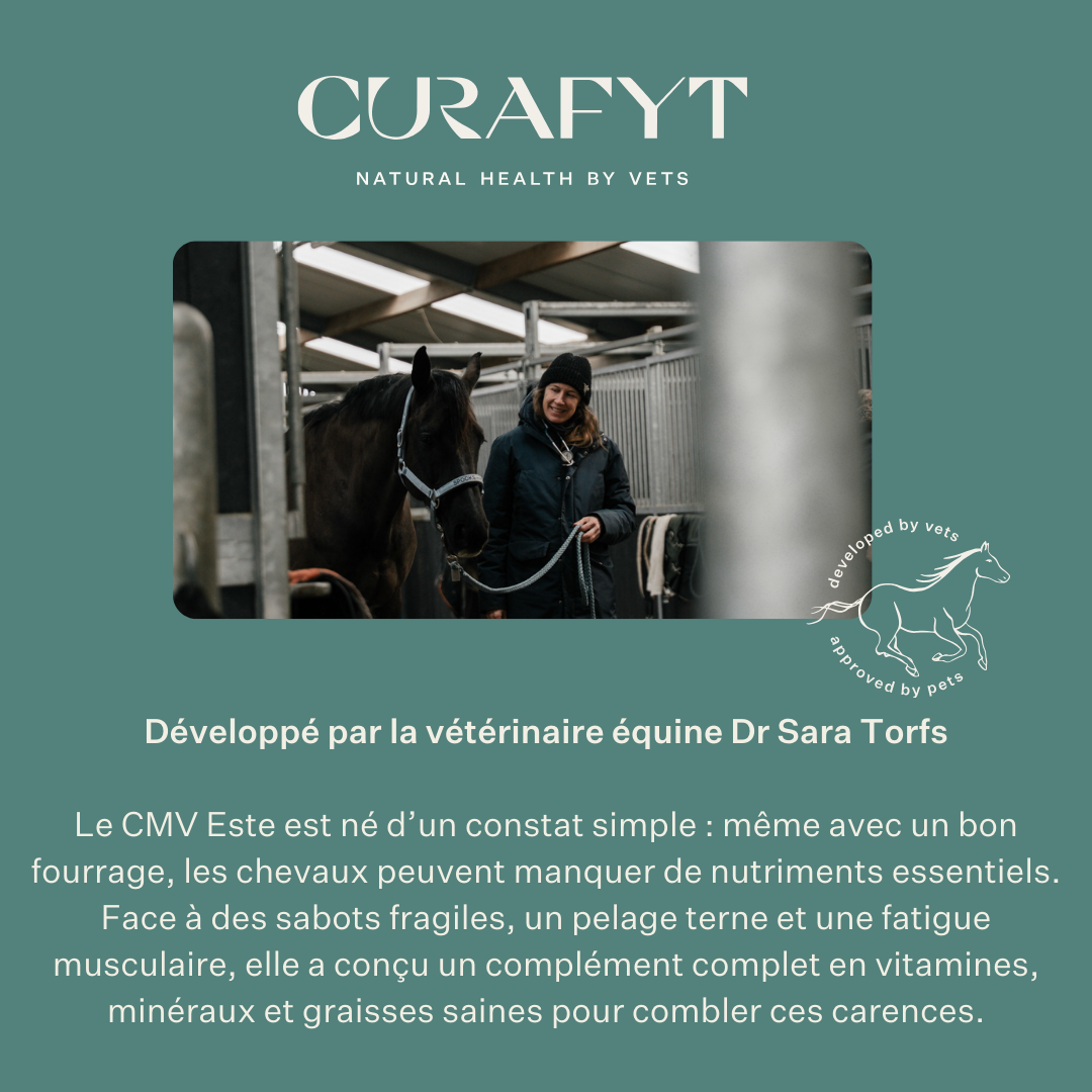 Este Balancer complément alimentaire pour chevaux, CMV développé par la vétérinaire équine Dr. Sara Torfs, complète les rations à base de fourrage avec vitamines, minéraux et graisses saines pour la brillance du poil, des sabots solides et une bonne santé digestive. | localization: FR