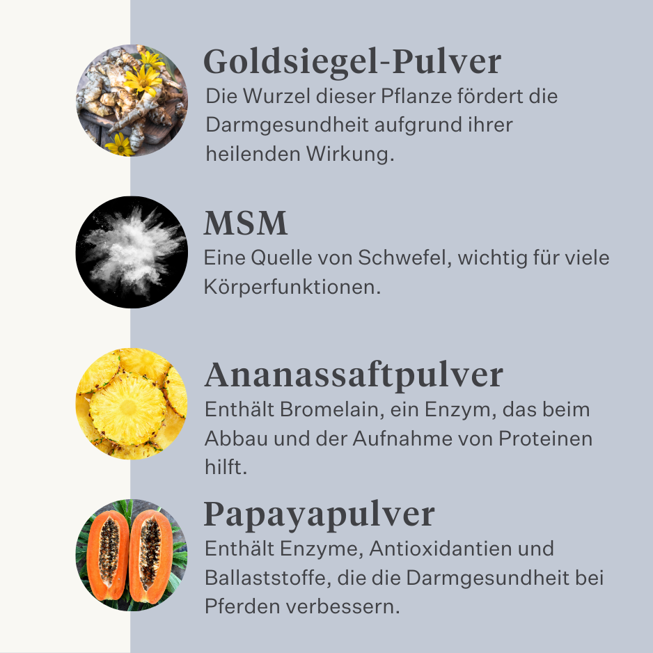 Pferd, Pony, Darmkolik, Gas, Magengeschwüre, Probiotika, Präbiotika, Leinsamen, Durchfall, wässriger Stuhl, weicher Stuhl  | localization: DE