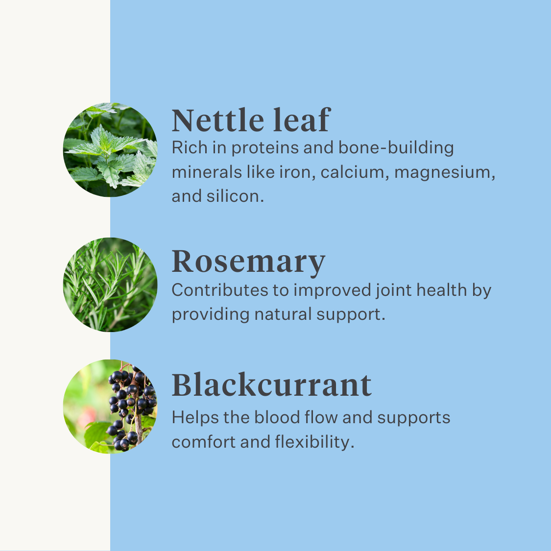 Natural supplement horse pony joints ligaments tendons muscles | localization: EN