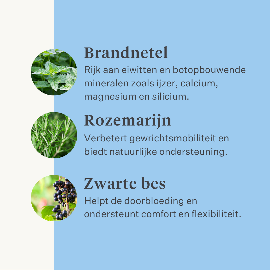 Natuurlijk supplement paard pony gewrichten ligamenten pezen spieren | localization: NL