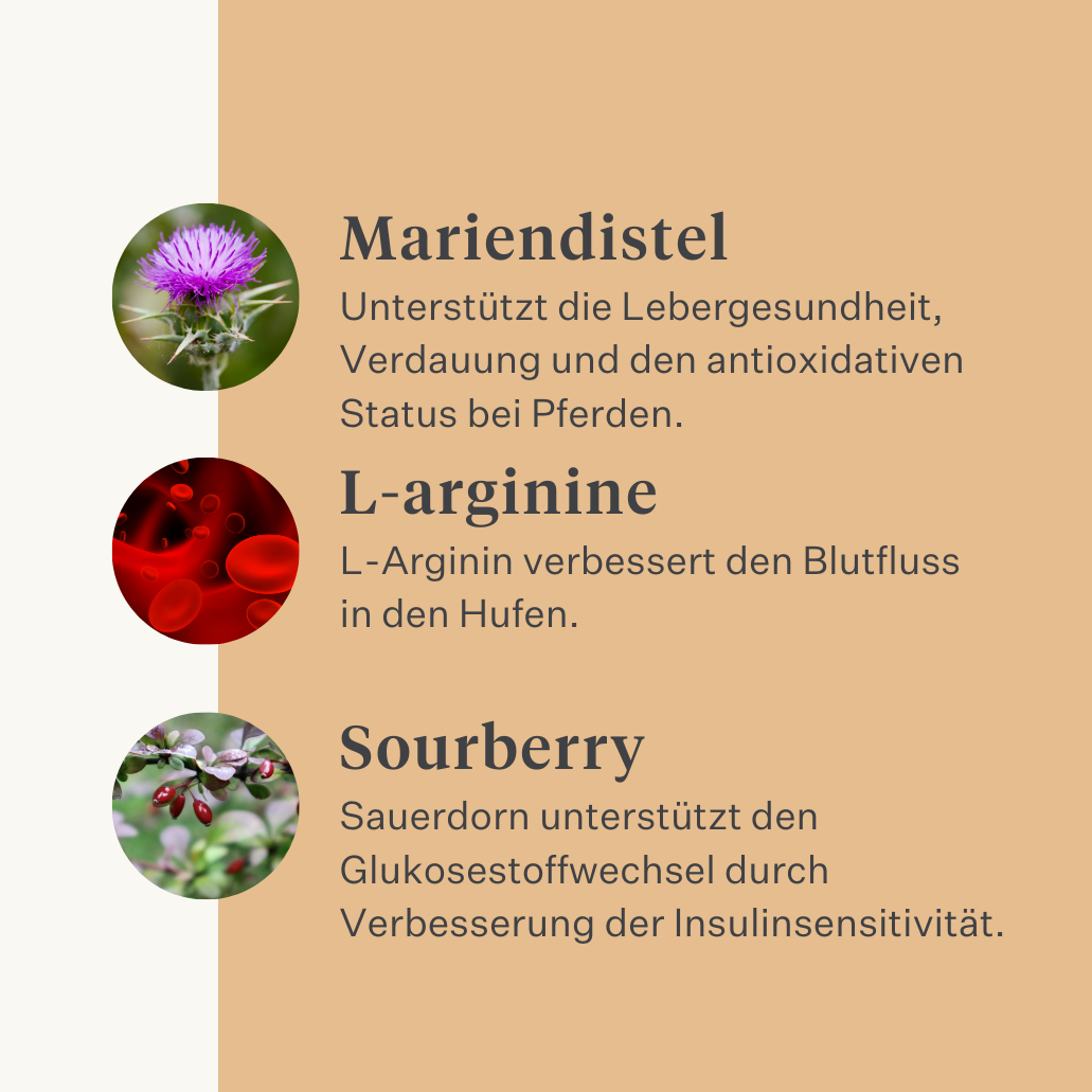 Steady&Stable Curafyt Ergänzung für Pferde und Ponys, Hufrehe, empfindliche Hufe, Insulin, Glukose, PPID, Cushing-Syndrom | localization: DE