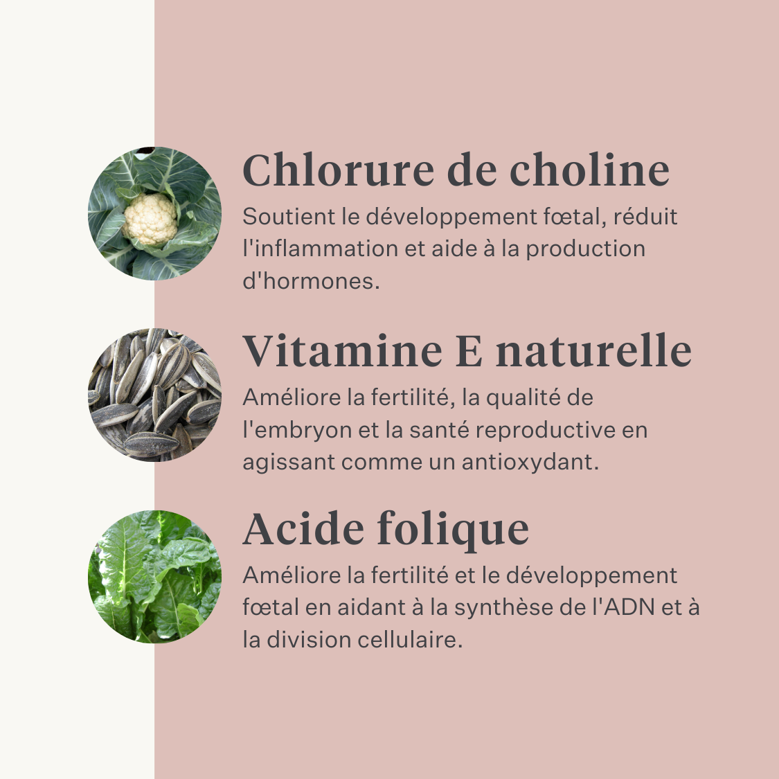  jument poulain cheval poney fertilité utérus chaleurs comportement de la jument cycle en chaleur équin équilibre hormonal | localization: FR