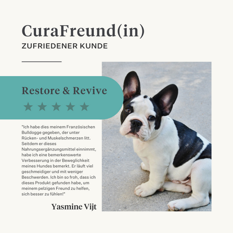 Natürliches Kurkuma curcuma longa Supplement für Hundegelenke | localization: DE