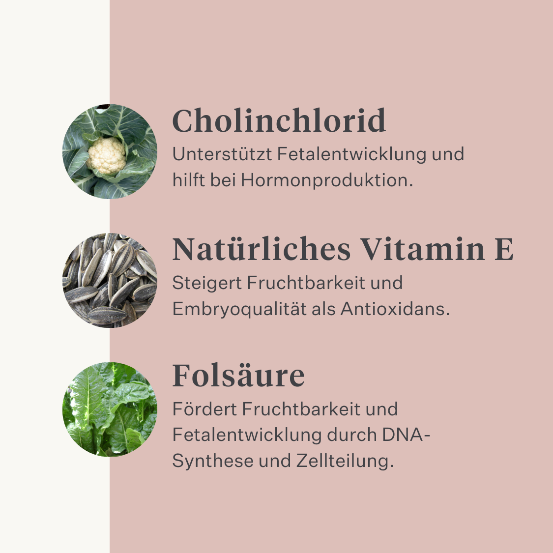 Stute Fohlen Pferd Pony Fruchtbarkeit Gebärmutter Rosse Stutenverhalten Zyklus rossig pferdeartige Hormonbalance| localization: DE
