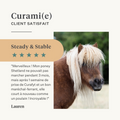 Steady&Stable Curafyt complément pour chevaux et poneys, fourbure, sensibilité des sabots, insuline, glucose, PPID, maladie de Cushing | localization: FR