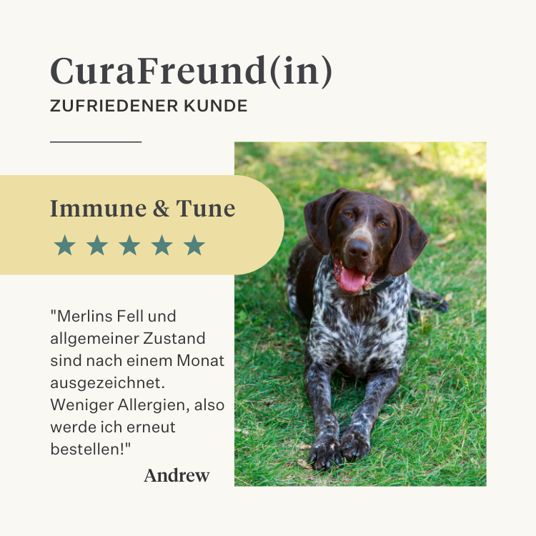 Hund, Welpe, Lachsöl, Omega-3, juckende Haut, trockene Haut, Gelenke, Immunität, Ergänzung, Nahrungsergänzungsmittel | localization: DE
