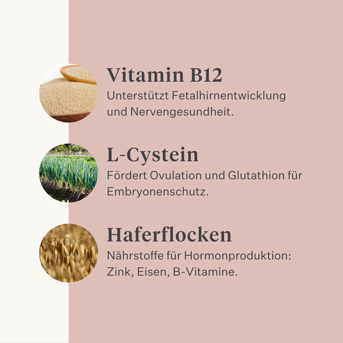 Stute Fohlen Pferd Pony Fruchtbarkeit Gebärmutter Rosse Stutenverhalten Zyklus rossig pferdeartige Hormonbalance| localization: DE