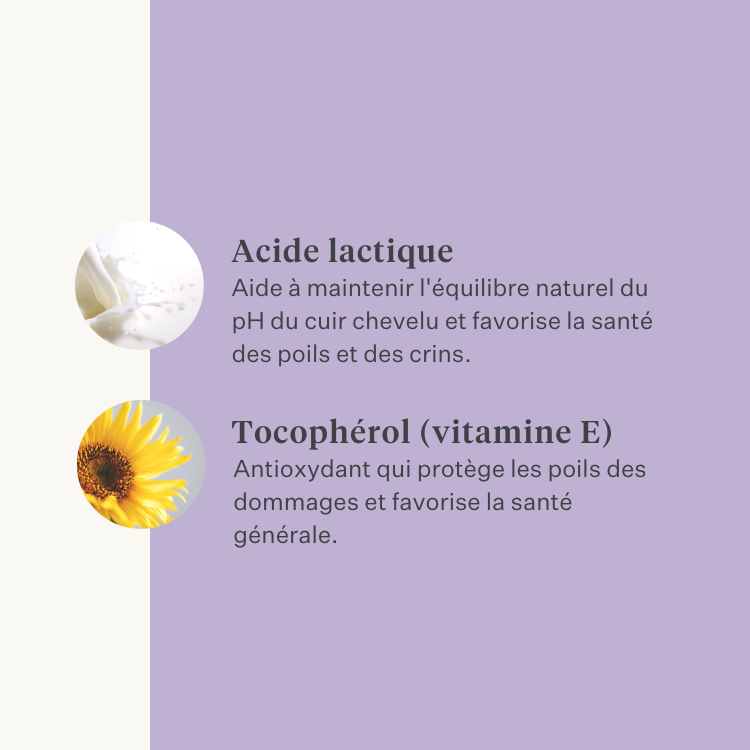 shampoing cheval poney peau sensible pelage brillant peau qui démange eczéma | localization: FR