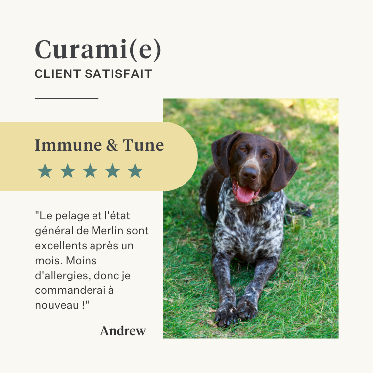 chien, chiot, huile de saumon, oméga-3, peau qui gratte, peau sèche, articulations, immunité, supplément, complément alimentaire | localization: FR